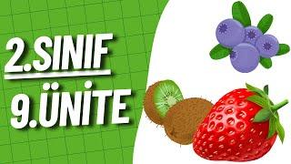 2. Sınıf İngilizce 9. Ünite | İngilizce Meyveler | FRUITS