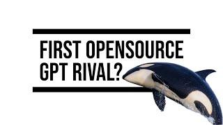 Orca: The Model Few Saw Coming