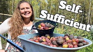 Self-Sufficient Harvest! Growing A Year of Potatoes on Our Alaska Homestead!