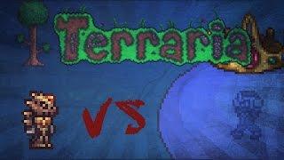 Terraria Fossil Armor  vs. King Slime