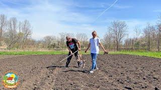 Посадили картошку и сделали всё, что планировали за два дня