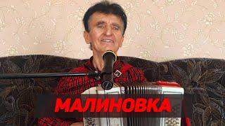 ВАСИЛИЙ НЕСТЕРЕНКО - МАЛИНОВКА / ЗАДОРНАЯ ПЕСНЯ ПОД БАЯН