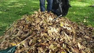 Bagging leaves hack!