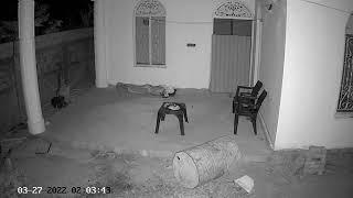 Real Ghost in india CCTV Camera ||  Real Ghost Caught in Camera || Real Ghost Video