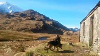 Oh deery deery me. Glen Pean Bothy.