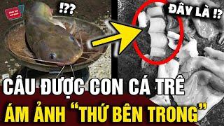 Câu được 'CON CÁ TRÊ', người đàn ông 'ÁM ẢNH TỘT ĐỘ' khi nhìn thấy thứ ở bên TRONG BỤNG | Động Tiin