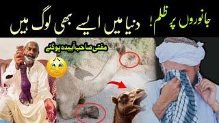 Janwaro per zulm | Sanghar Camel Incident | Mufti Tariq Masood | @IslamicYouTube2