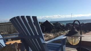 Tugwell Creek Beach Cabin