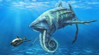 10 STRANGEST Prehistoric Sharks That Ever Lived!