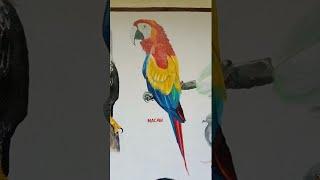 super drawing. please subscribe tittu apple vlogs. and share