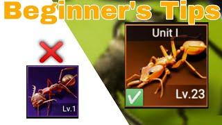 [NEW] 5 Beginner's Tips that you Must know in The Ants!