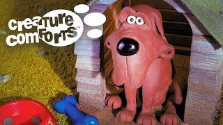 Animals In The Hood  Creature Comforts S2 (Full Episode)