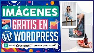 Imágenes Gratis En WordPress para Sitios Web con el Plugin: Instant Images