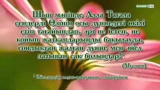 'Хикмет' студиясы ұсынады  Пайғамбар с ғ с  хадистері  'Тақуалық'