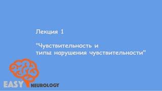 Общая неврология. Лекция 1 "Чувствительность и типы нарушения чувствительности"