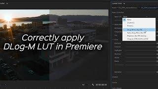 Properly Apply Mavic 2 DLogM to Rec709 LUT in Adobe Premiere