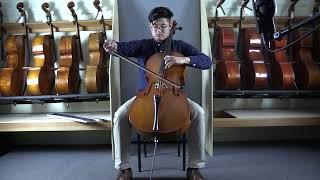 Jan Bobak Cello for Sale | Linda West Cellos