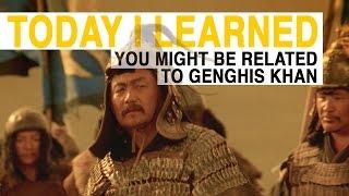 TIL: You Might Be Related to Genghis Khan | Today I Learned