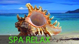 6 Hour Relaxing Spa Music, Calming Music, Background Music, Sleep Music, Spa, Massage Music, 357