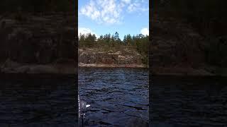 Ладожские шхеры. Карелия. Ladoga skerries. Karelia  #shorts