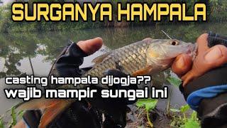 WINONGO SURGANYA HAMPALA!!! referensi spot hampala jogja!! winongo dam tembi