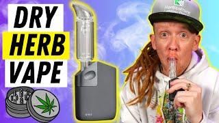 Is This The Best Dry Herb Vape? POTV One Review