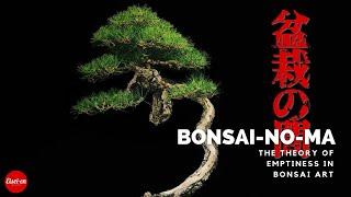 BONSAI-NO-MA | The Theory of Emptiness in Bonsai Art, Part One