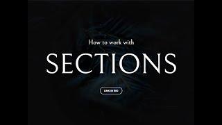 How to work with Sections | Editor X