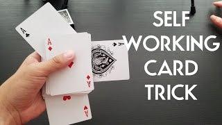 CRAZY SELF WORKING EASY CARD TRICK FOR BEGINNERS AND EXPERTS PigCake Tutorial