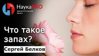 Что такое запах и обоняние? | Лекции по химии – химик-флейворист Сергей Белков | Научпоп