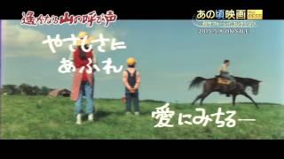 あの頃映画 the BEST 松竹ブルーレイ・コレクション『遙かなる山の呼び声』2015/5/8リリース！