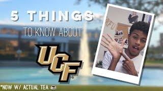 UCF: 5 Things You Should Know (College Tea)