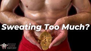 Is Sweating Compromising Your Gains??