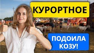 Курортное 2021. Доила козу, ела свежайшую рыбу! Ресторан ЧЕРНОМОРКА ферма "Козы и матросы"