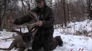 Golden Triangle Whitetail- Experience Your Hunt of a Lifetime