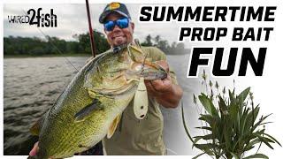 Mastering Topwater Prop Baits for Summer Bass Over Grass