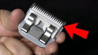 Dangerous Dog Grooming Clipper Blade Mistake You NEED To Know