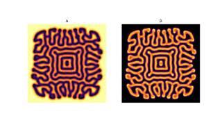 Animation of the Turing Patterns forming.