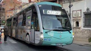 Buses in Valladolid, Spain 2024