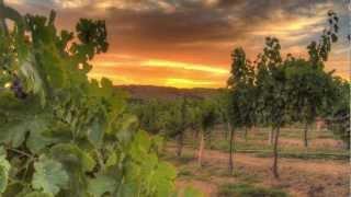 HDR Motion Time Lapse - Sunset in the Vineyard