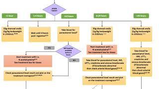 Tox Chat - Flowchart