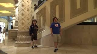 Mitsubishi Hydraulic Elevators - The Forum Shops at Caesars - Las Vegas, NV