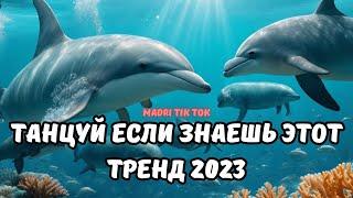 ТАНЦУЙ ЕСЛИ ЗНАЕШЬ ЭТОТ ТРЕНД 2023