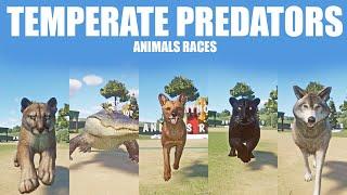 Temperate Predators Speed Races in Planet Zoo included Cougar, Alligator, Dhole, Jaguar and Wolf