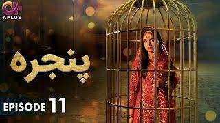 Pakistani Drama | Pinjra - Episode 11 | Aplus Gold | Yumna Zaidi, Nauman Aijaz | CZ1O