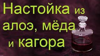 Как сделать настойку из алоэ. Приготовление настойки алоэ в домашних условиях.