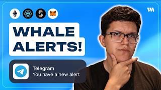 Build a Whale Alerts Telegram Bot with Thirdweb Insight | Step-by-Step Guide