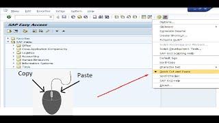 SAP, quick text copy and paste function