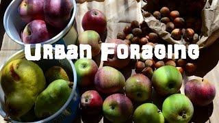 (The Northwest Forager) Ep. 7 Urban Foraging