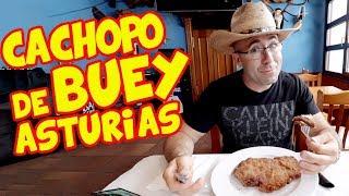 Cachopo de BUEY AUTÉNTICO en ASTURIAS - ESPECTACULAR!!!